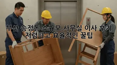 부산 송정동 소규모 사무실 이사 후기: 저렴하고 효율적인 꿀팁!