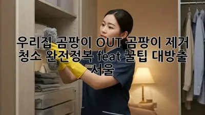 🏡 우리집 곰팡이 OUT! 곰팡이 제거 청소 완전정복 (feat. 꿀팁 대방출) #서울