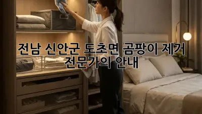 전남 신안군 도초면 곰팡이 제거 전문가의 안내