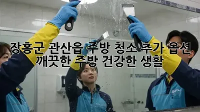 장흥군 관산읍 주방 청소 추가 옵션: 깨끗한 주방, 건강한 생활!