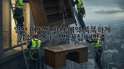 양산 매곡동 이사 예약, 똑똑하게 취소/변경하는 법 꿀팁 대방출! 🚚💨