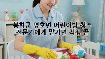 봉화군 명호면 어린이방 청소, 전문가에게 맡기면 걱정 끝!