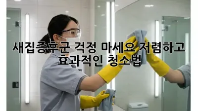 새집증후군, 걱정 마세요! 저렴하고 효과적인 청소법