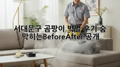 서대문구 곰팡이 박멸 후기!✨ 숨 막히는Before➡️After 공개