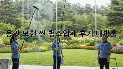 용인 모현 찐! 청소업체 후기 대방출🧹✨