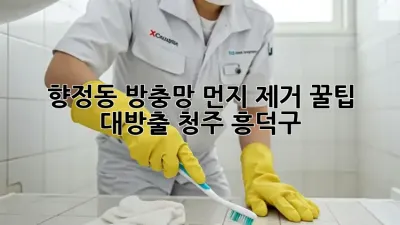 향정동 방충망 먼지 제거🧹✨ 꿀팁 대방출! [청주 흥덕구]