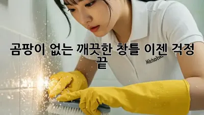 곰팡이 없는 깨끗한 창틀, 이젠 걱정 끝! ✨
