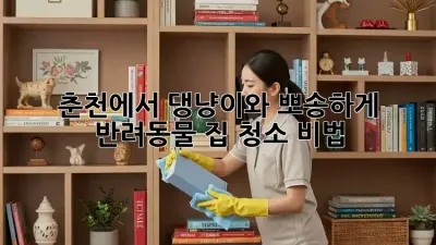 춘천에서 댕냥이와 뽀송하게! ✨ 반려동물 집 청소 비법 🐾