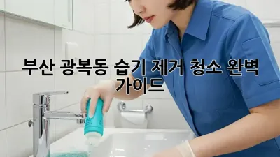 부산 광복동 습기 제거 청소 완벽 가이드