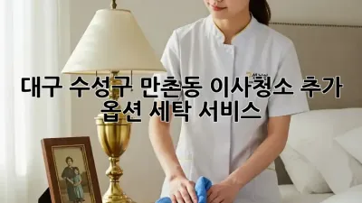 대구 수성구 만촌동 이사/청소 추가 옵션: 세탁 서비스