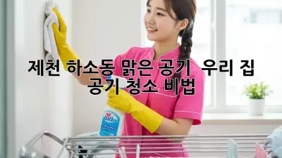 제천 하소동 맑은 공기 🌬️, 우리 집 공기 청소 비법!