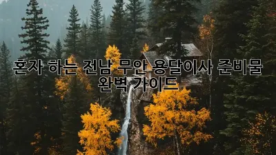 혼자 하는 전남 무안 용달이사 준비물 완벽 가이드
