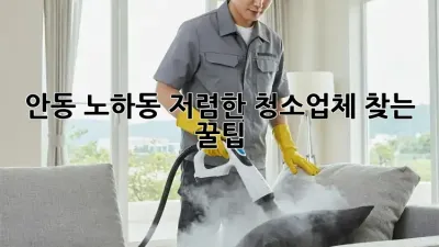 안동 노하동 저렴한 청소업체 찾는 꿀팁 🍯✨