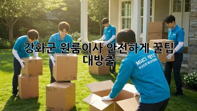 강화군 원룸이사🏡 안전하게! 꿀팁 대방출🍯