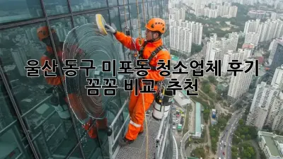 울산 동구 미포동 청소업체 후기 ✨ 꼼꼼 비교 & 추천!