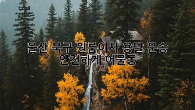울산 북구 원룸이사🚚 용달 운송 안전하게! #어물동