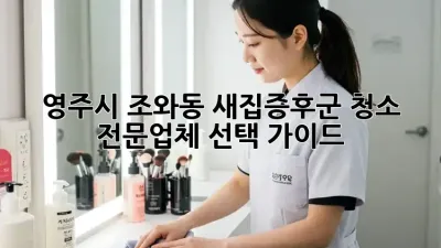 영주시 조와동 새집증후군 청소: 전문업체 선택 가이드