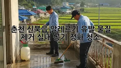 춘천 신북읍 알레르기 유발 물질 제거, 실내 공기 정화 청소