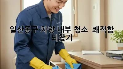 ✨ 일산동구 차량 내부 청소, ✨ 쾌적함 되찾기! 🚗💨