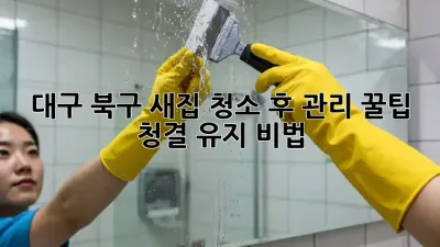 대구 북구 새집 청소✨ 후 관리 꿀팁🍯 (청결 유지 비법)