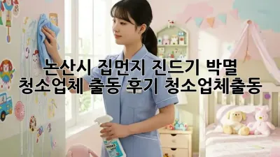 논산시 집먼지 진드기 박멸 🚨 청소업체 출동 후기 #청소업체출동