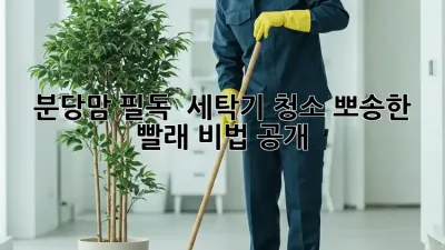 분당맘 필독! ✨ 세탁기 청소, 뽀송한 빨래 비법 공개 🧺