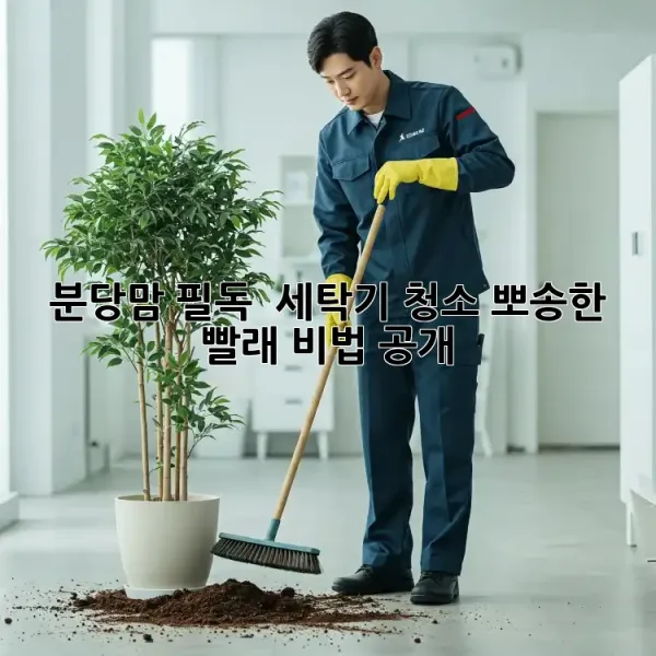 e1860ff5712d8611b2e392500deb9c17.webp