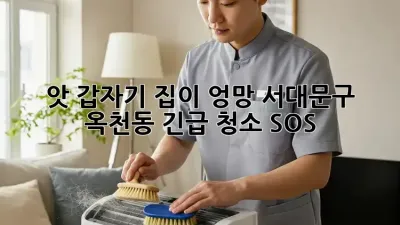 앗!😱 갑자기 집이 엉망? 서대문구 옥천동 긴급 청소 SOS!🚨
