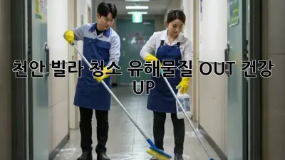 천안 빌라 청소🧹✨ 유해물질 OUT! 건강 UP!