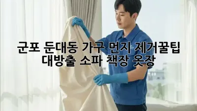 군포 둔대동 가구 먼지 제거🧹✨꿀팁 대방출! (소파, 책장, 옷장)