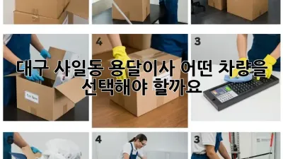 대구 사일동 용달이사, 어떤 차량을 선택해야 할까요?