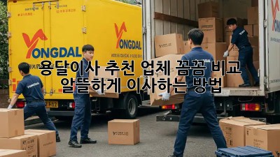 🚚 용달이사 추천 업체🥇: 꼼꼼 비교 & 알뜰하게 이사하는 방법!