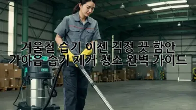 겨울철 습기, 이젠 걱정 끗! 함안 가야읍 습기 제거 청소 완벽 가이드