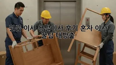 원룸 이사, 용달이사 후기: 혼자 이사? 꿀팁 대방출!