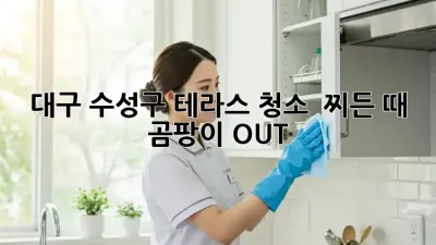 대구 수성구 테라스 청소 ✨ 찌든 때 & 곰팡이 OUT!