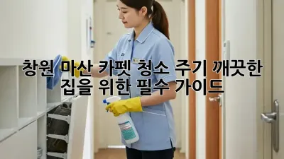 창원 마산 카펫 청소 주기, 깨끗한 집을 위한 필수 가이드