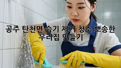 💦 공주 탄천면 습기 제거 청소, 뽀송한 우리집 만들기! 🏠
