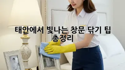 태안에서 빛나는 창문, 닦기 팁 총정리!