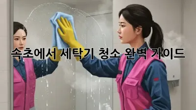 속초에서 세탁기 청소 완벽 가이드!
