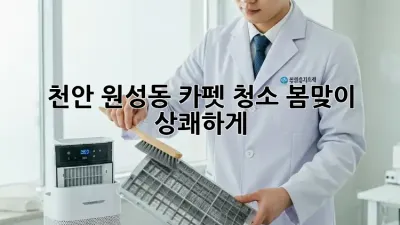 천안 원성동 카펫 청소🧼 봄맞이 상쾌하게!