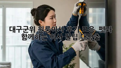 대구/군위 원룸이사 후기 모음 🏡 펫과 함께하는 이사 꿀팁 대방출!