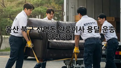 울산 북구 신명동 원룸이사🚚 용달 운송 안전하게!