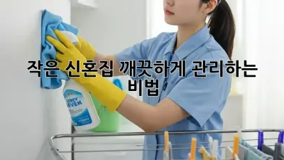 작은 신혼집, 깨끗하게 관리하는 비법! ✨
