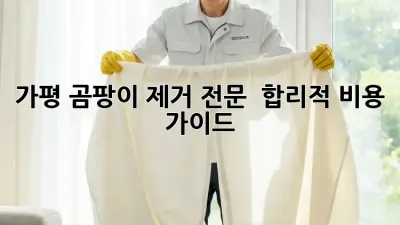 가평 곰팡이 제거 전문 💯 합리적 비용 가이드 🏡