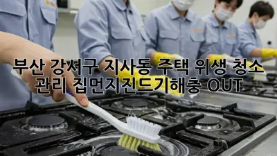 부산 강서구 지사동 주택 위생 청소 관리: 집먼지진드기&해충 OUT!