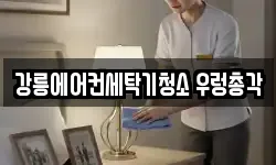 강릉에어컨세탁기청소 우렁총각
