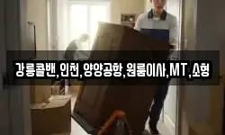강원특별자치도 강릉시 강동면 이사,용달이사,포장이사,원룸이사,보관이사
