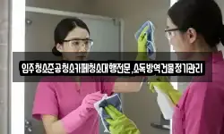 입주청소준공청소카페청소대행전문,소독방역건물정기관리