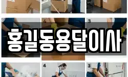 홍길동용달이사