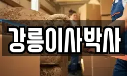 강릉이사박사